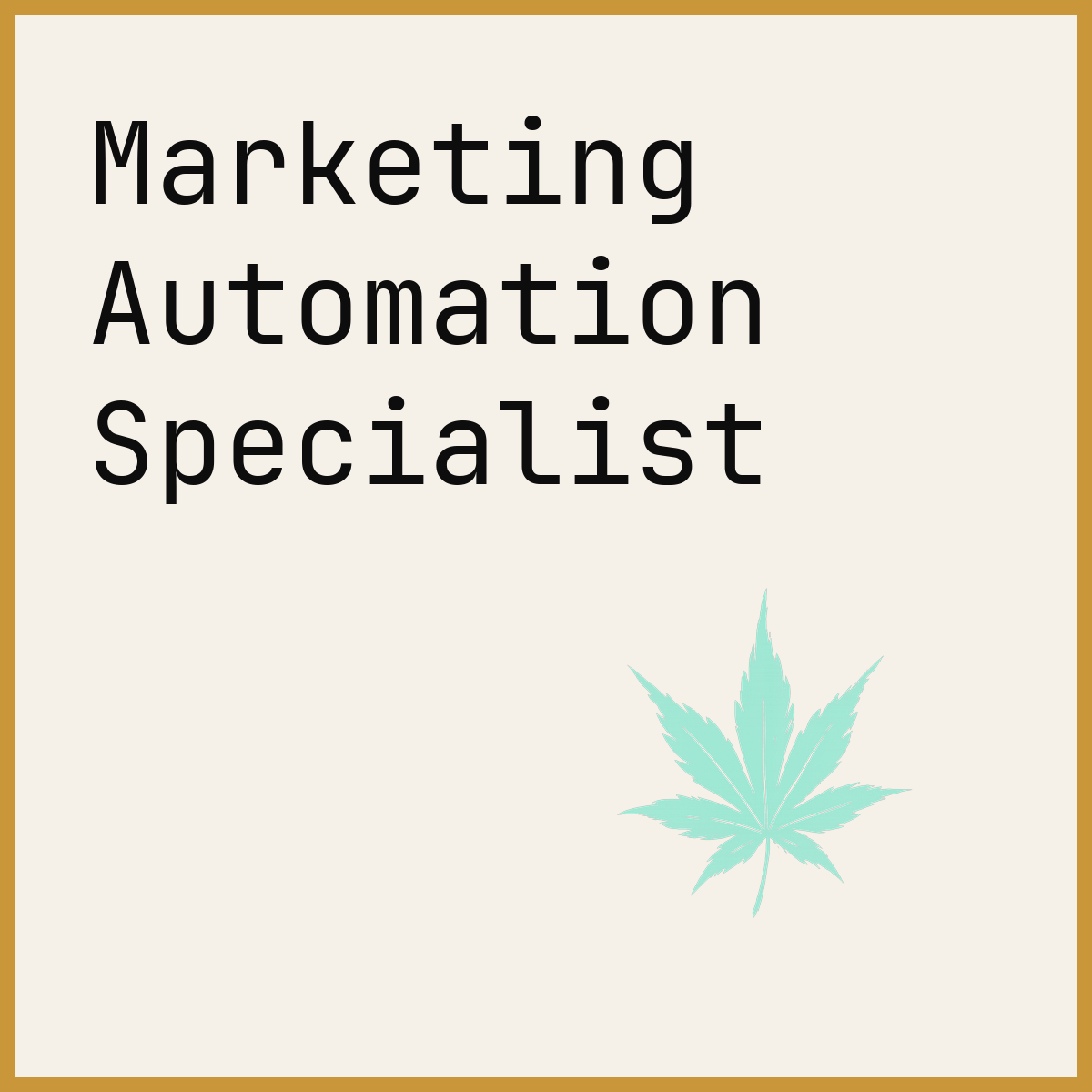 Marketing Automation Specialist