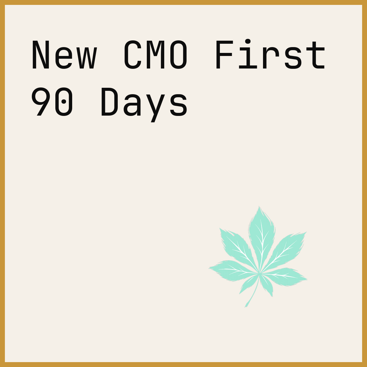 New CMO First 90 Days
