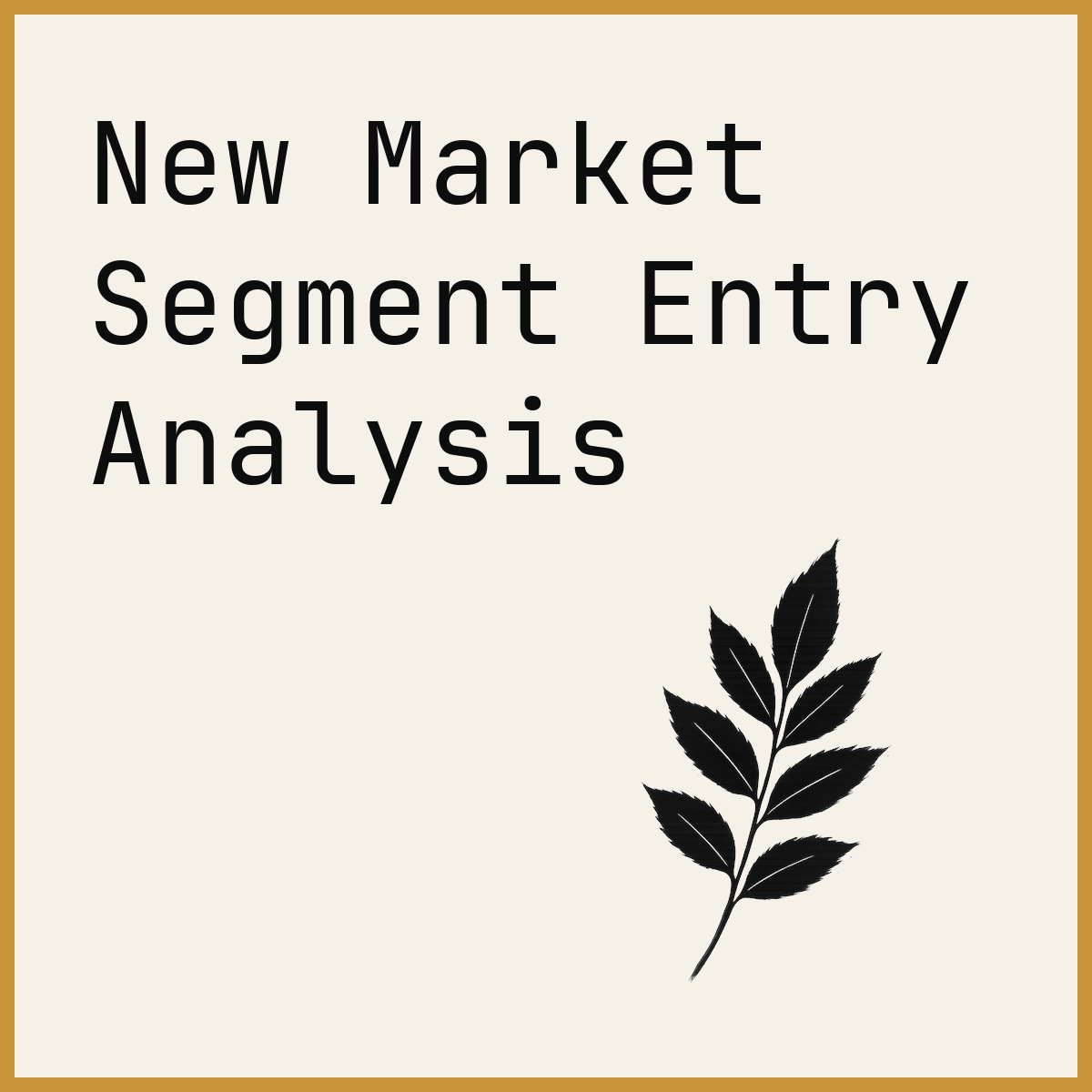 New Market Segment Entry Analysis