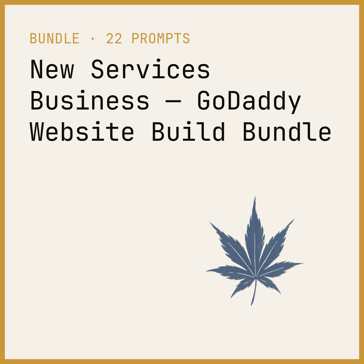 New Services Business — GoDaddy Website Build Bundle
