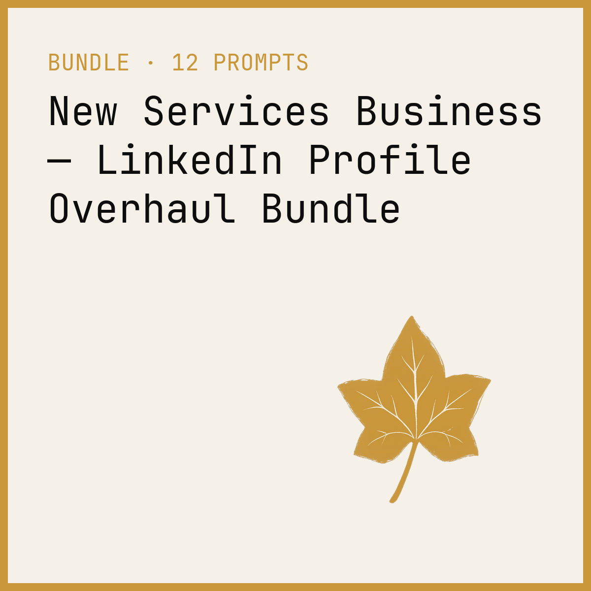 New Services Business — LinkedIn Profile Overhaul Bundle