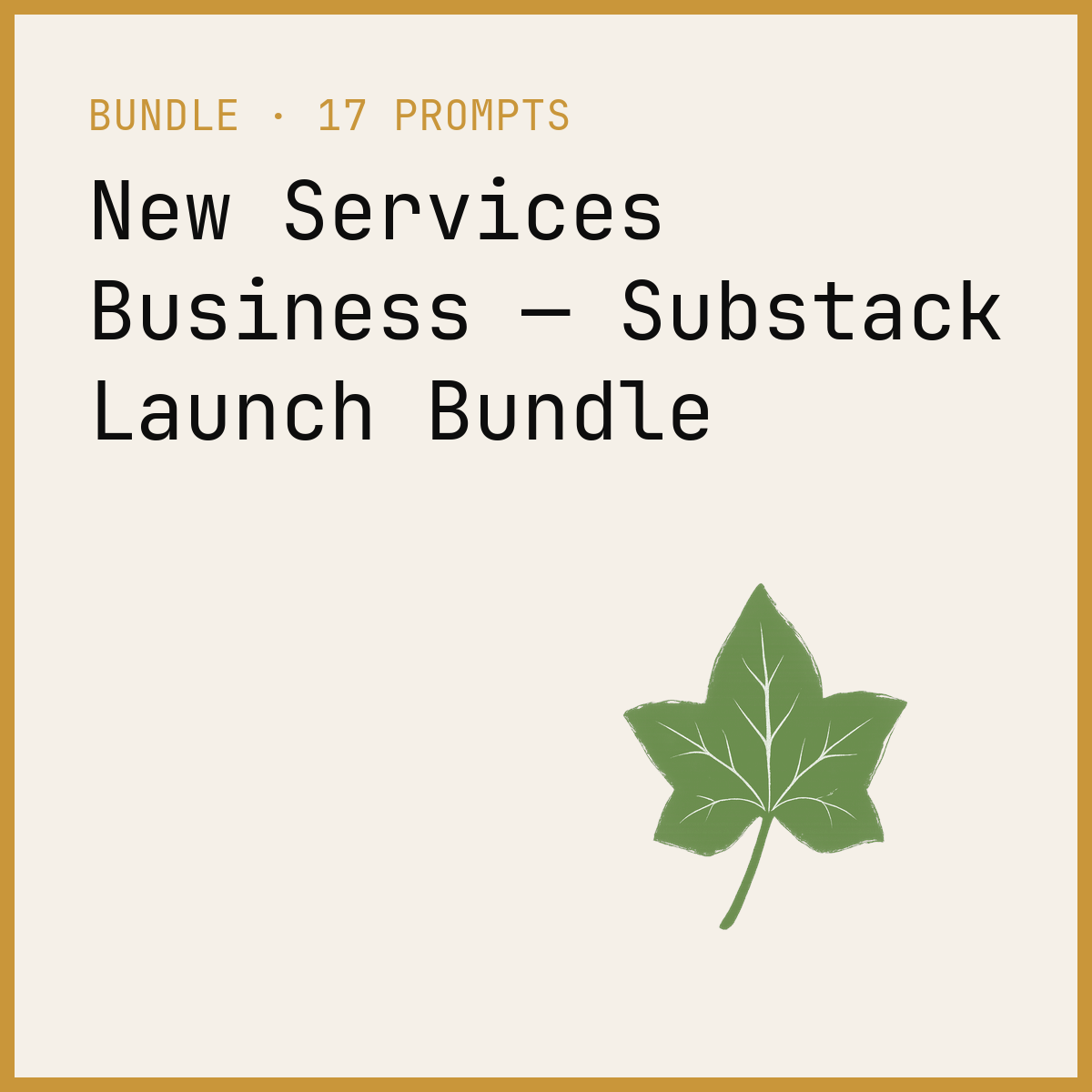 New Services Business — Substack Launch Bundle