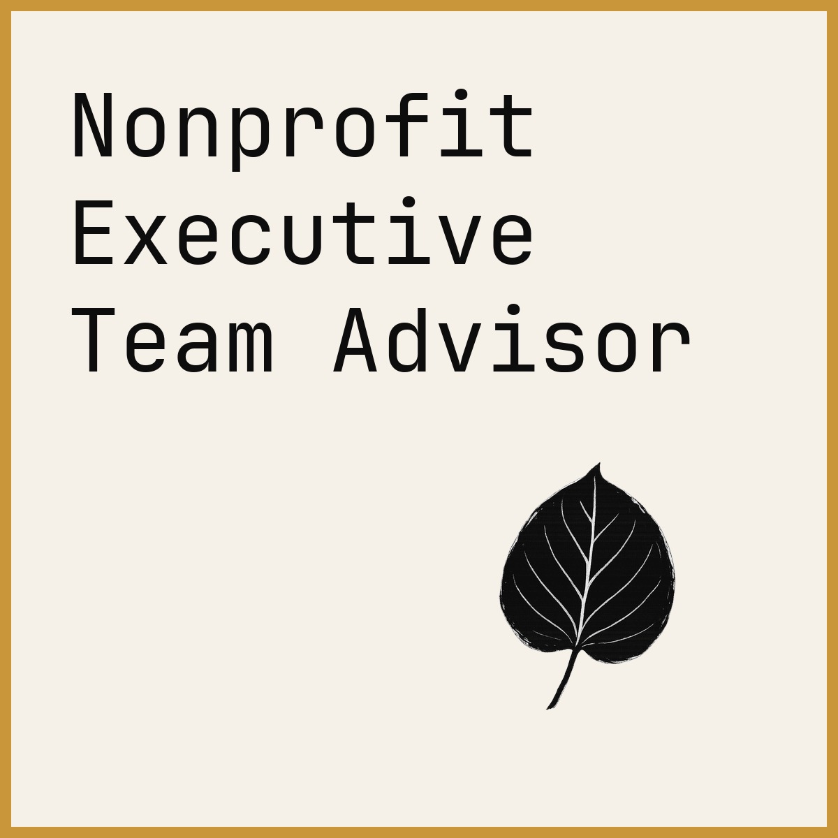 Nonprofit Executive Team Advisor