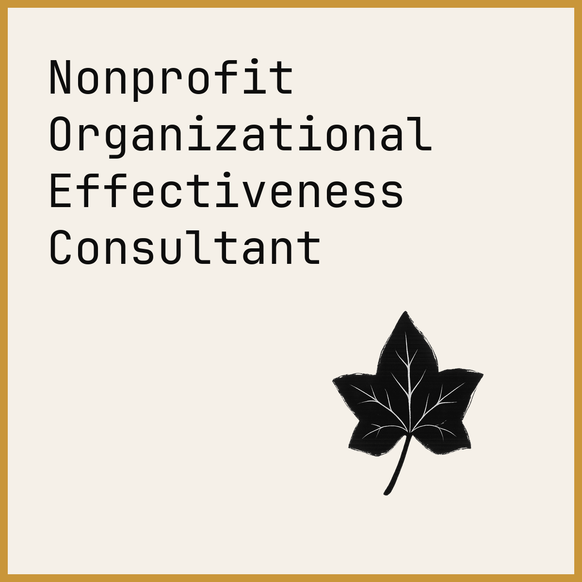 Nonprofit Organizational Effectiveness Consultant