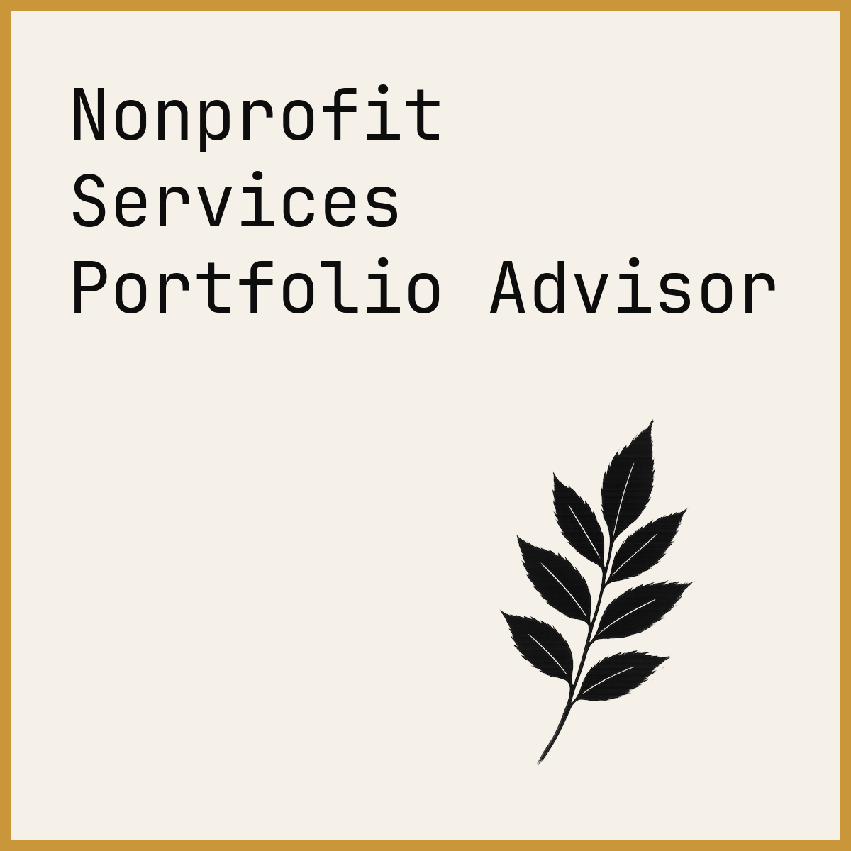Nonprofit Services Portfolio Advisor
