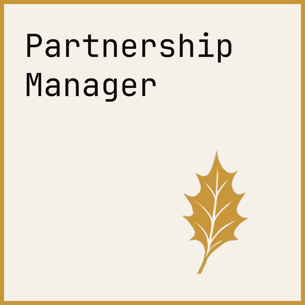 Partnership Manager