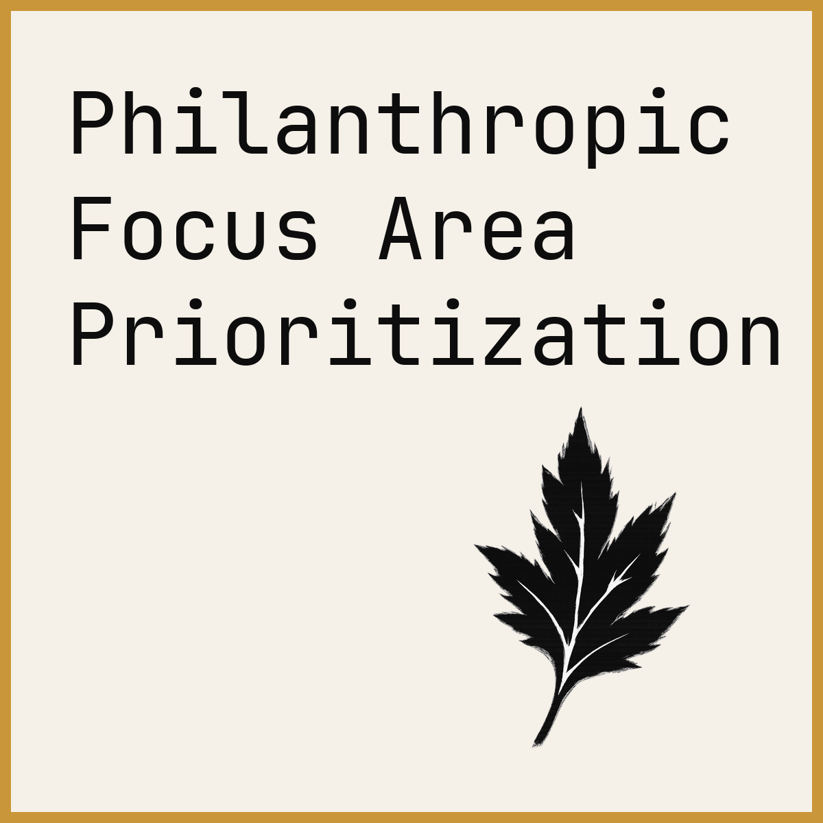 Philanthropic Focus Area Prioritization