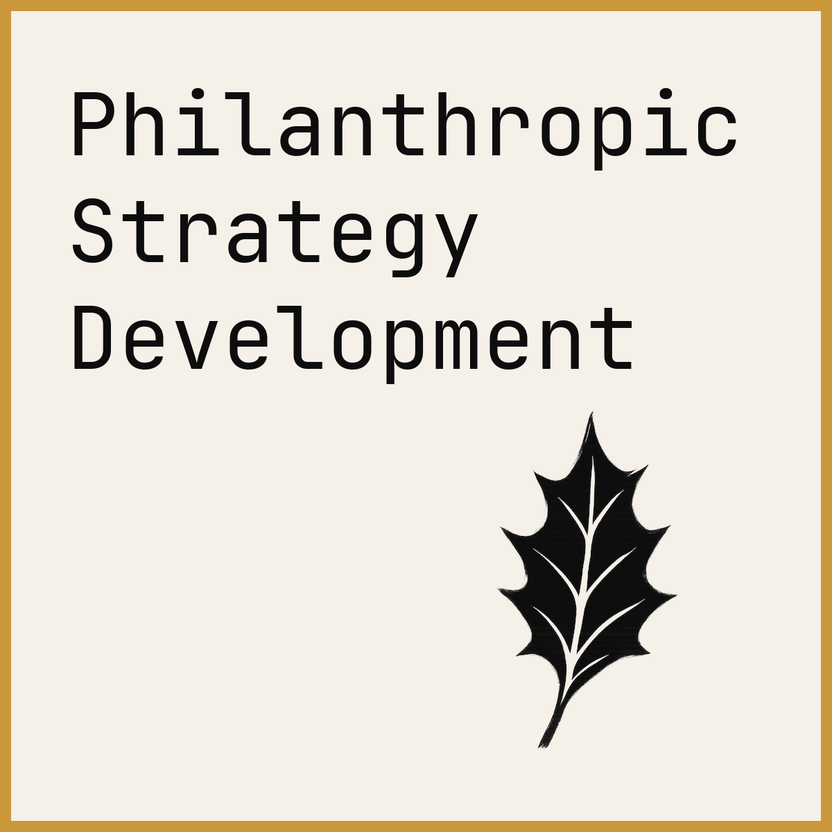 Philanthropic Strategy Development