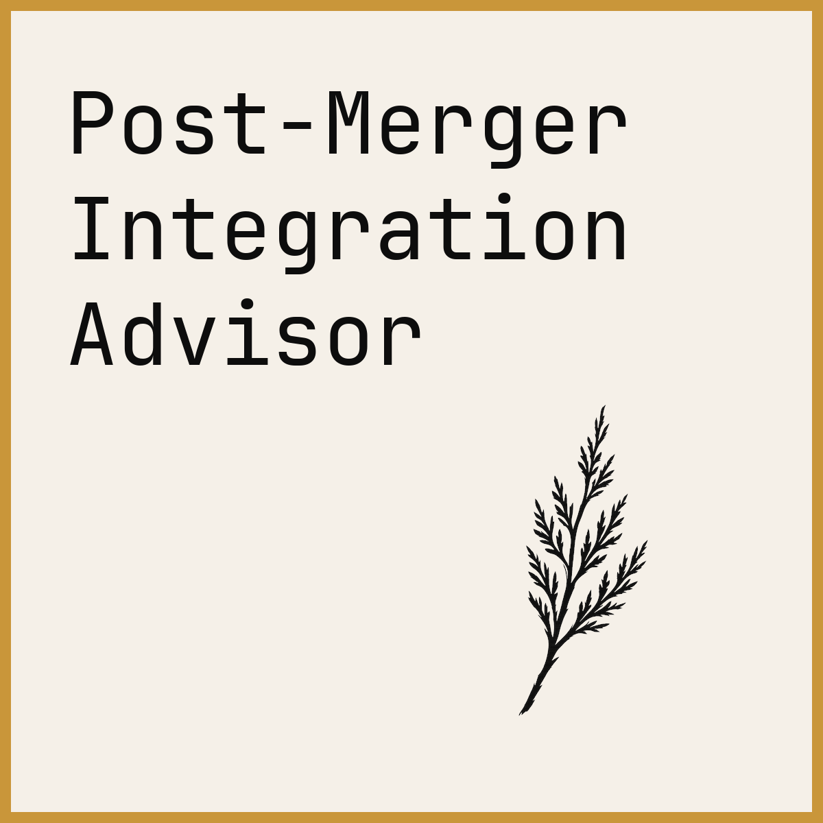 Post-Merger Integration Advisor