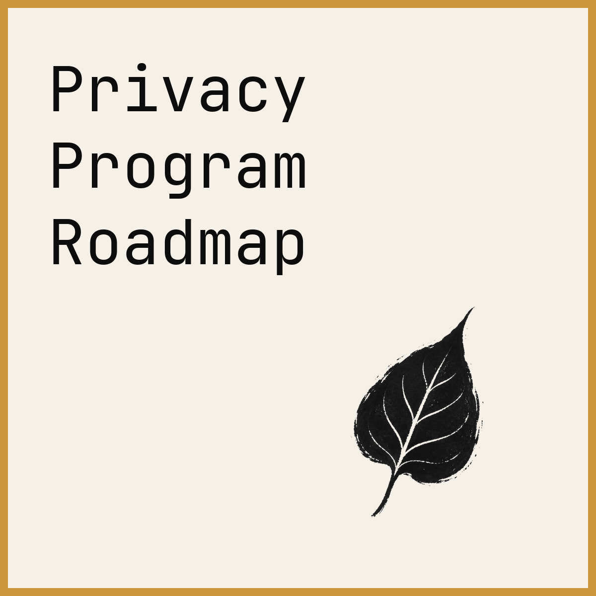 Privacy Program Roadmap