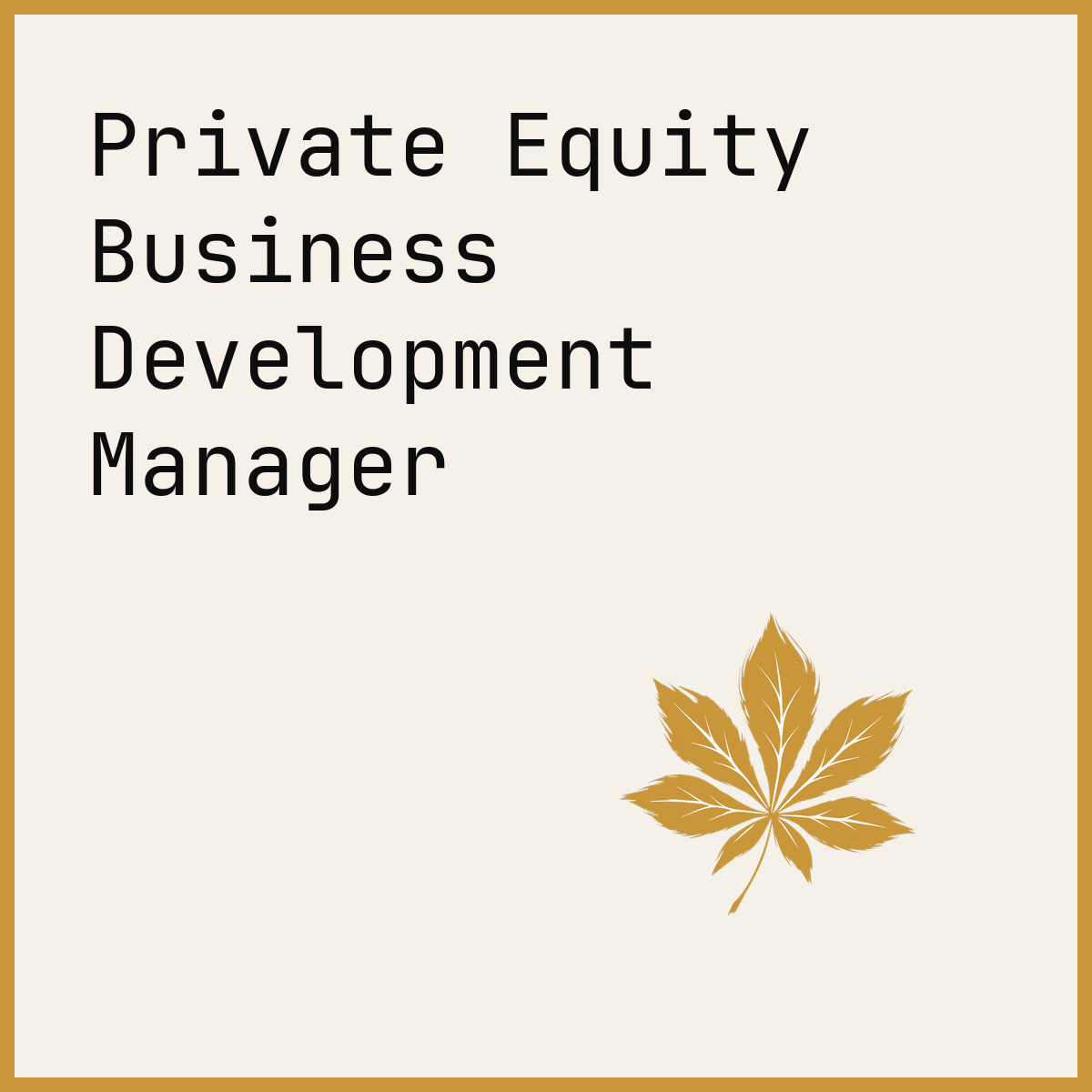 Private Equity Business Development Manager