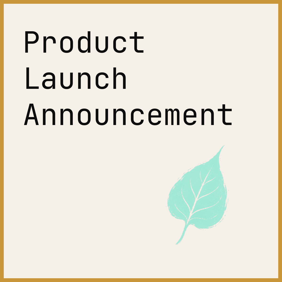 Product Launch Announcement