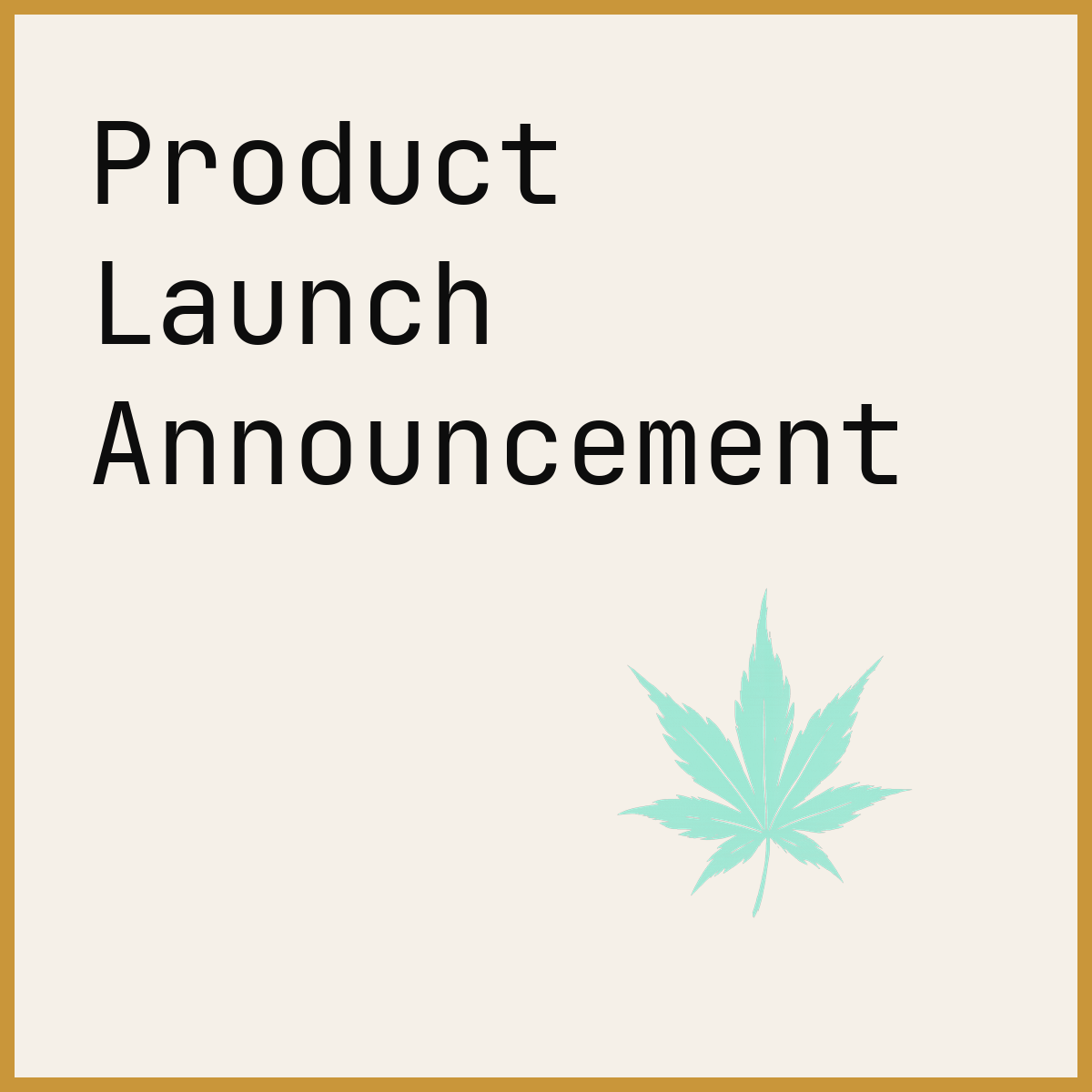 Product Launch Announcement