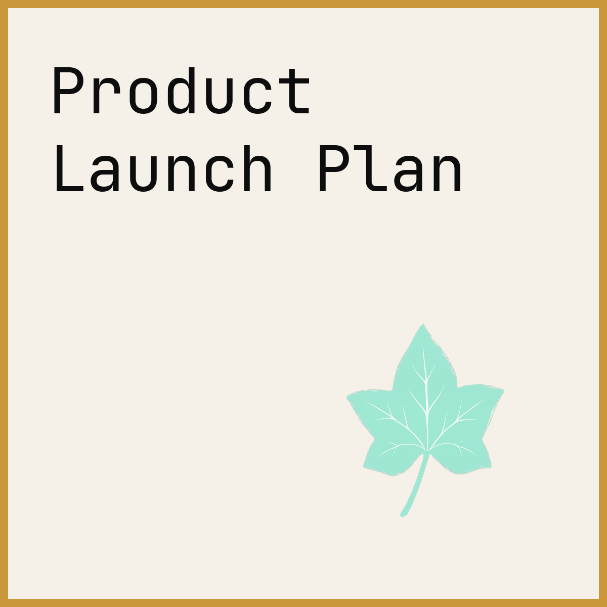 Product Launch Plan