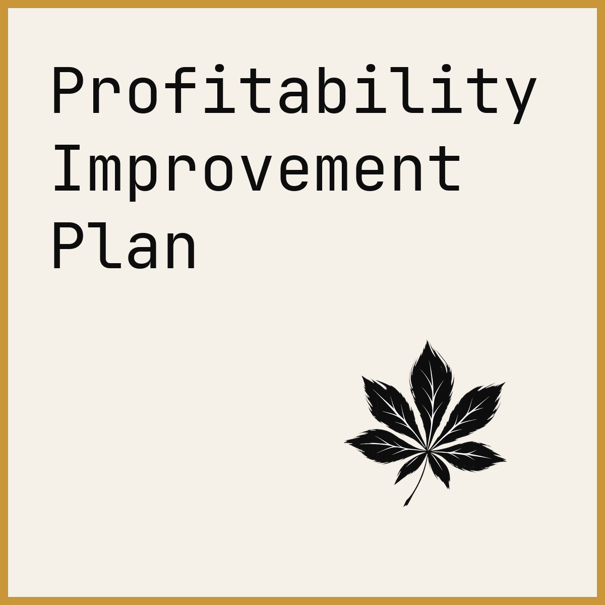 Profitability Improvement Plan