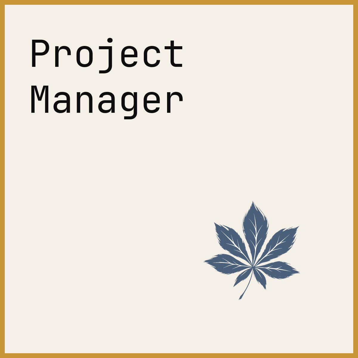 Project Manager