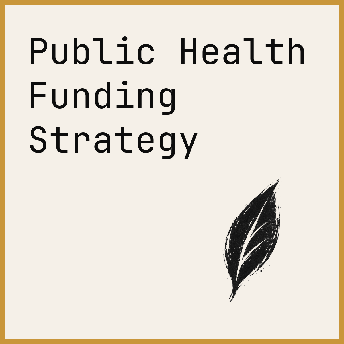 Public Health Funding Strategy