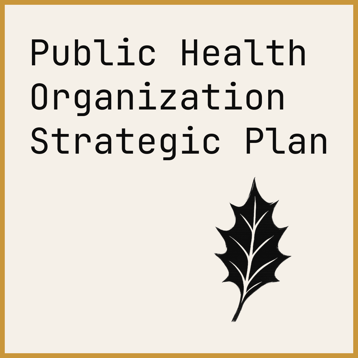 Public Health Organization Strategic Plan