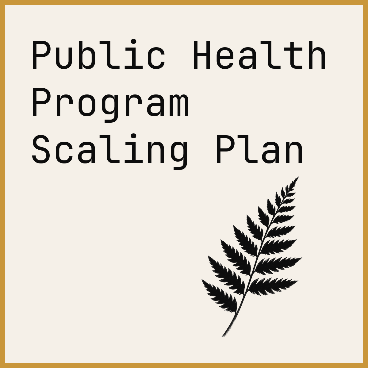 Public Health Program Scaling Plan