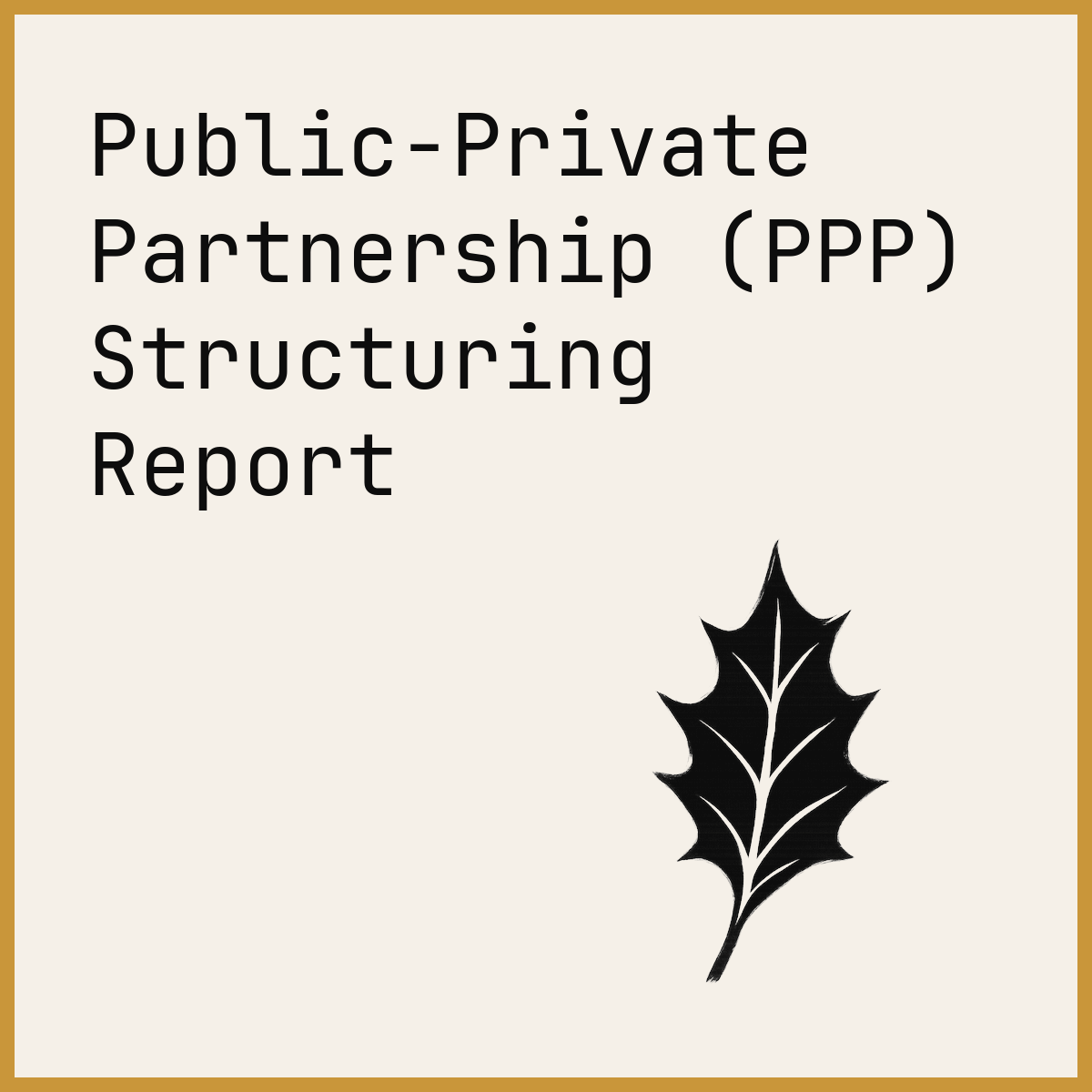 Public-Private Partnership (PPP) Structuring Report