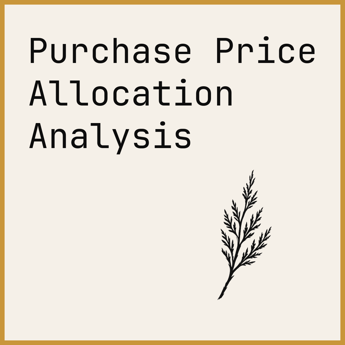 Purchase Price Allocation Analysis