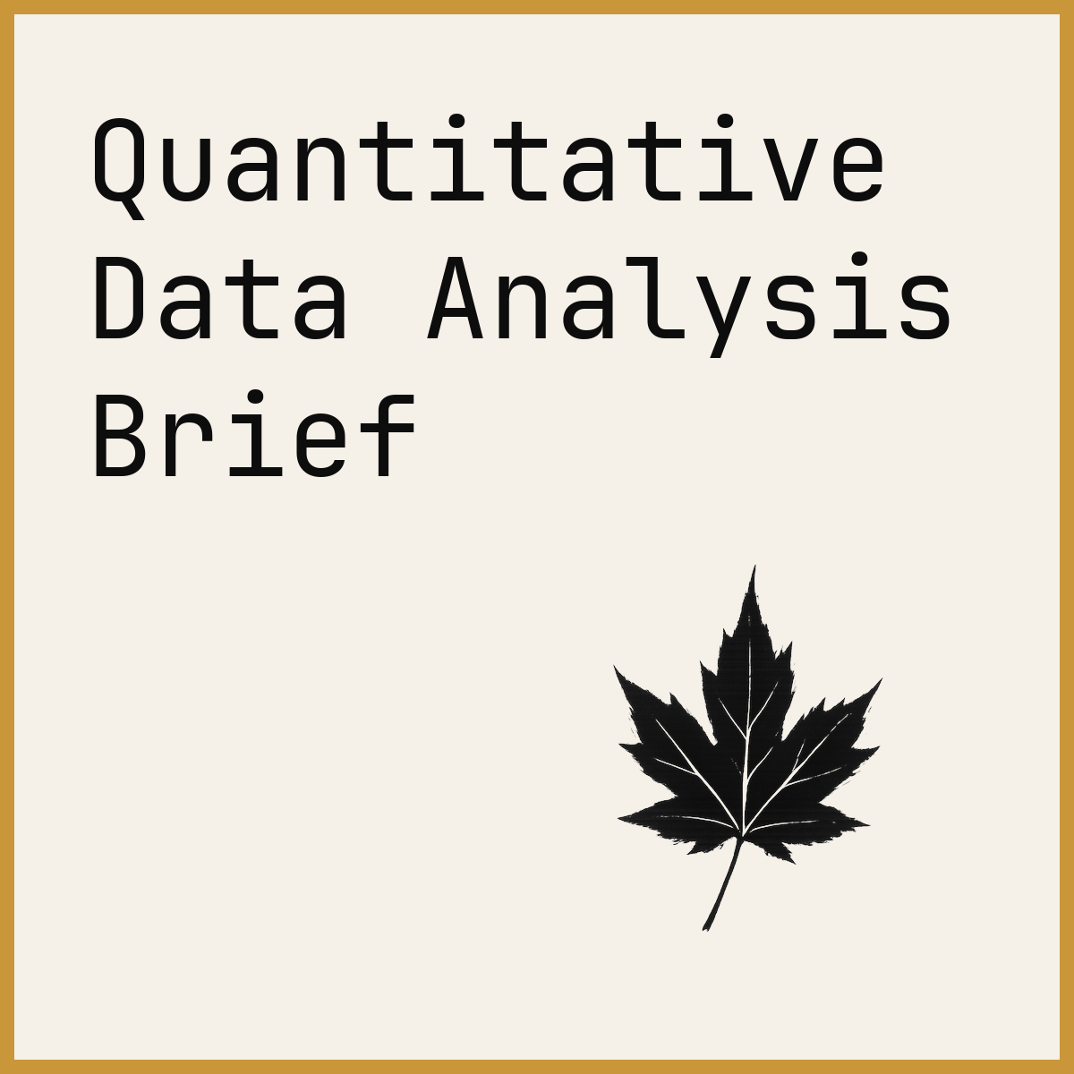 Quantitative Data Analysis Brief