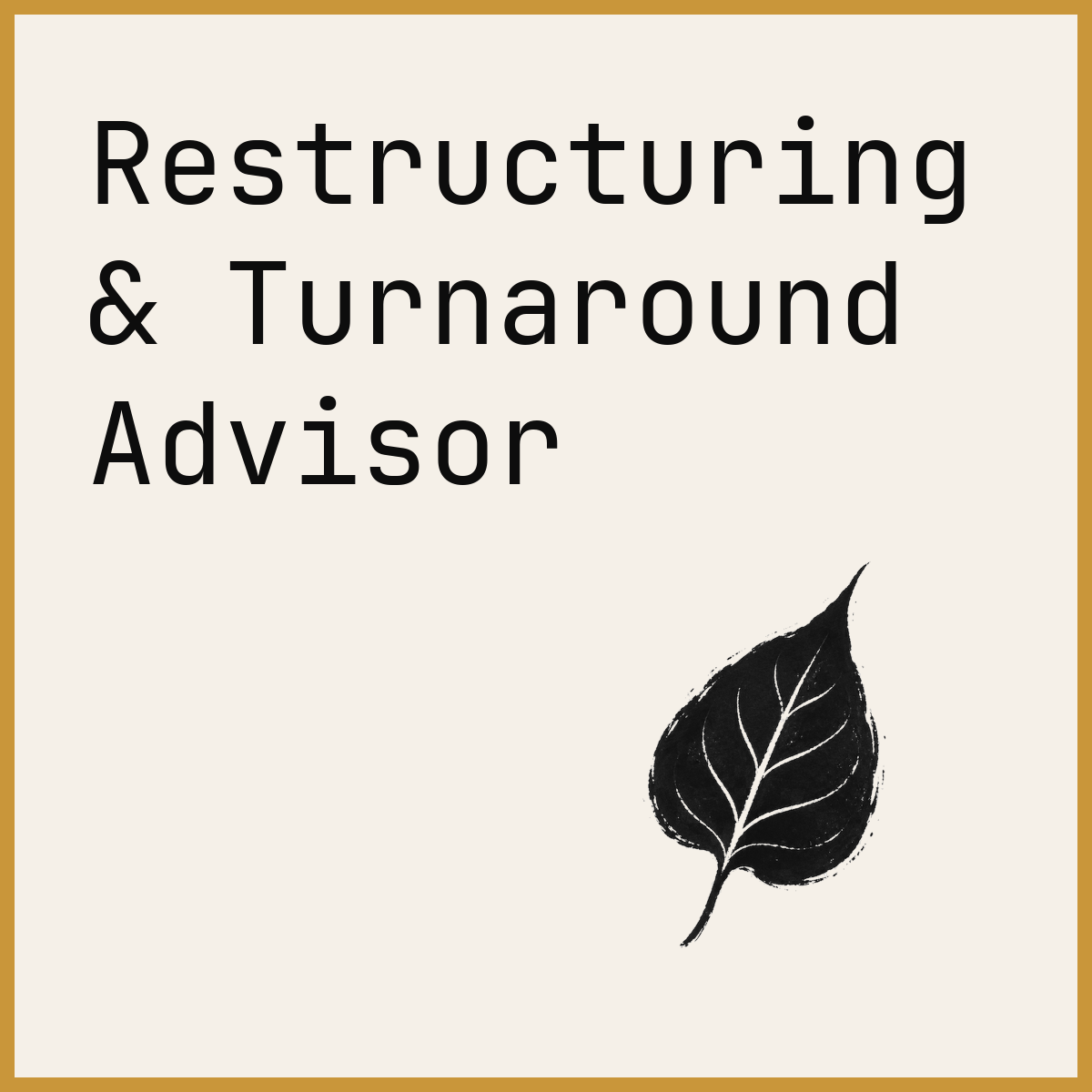Restructuring & Turnaround Advisor