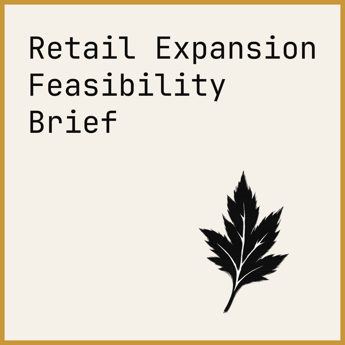 Retail Expansion Feasibility Brief