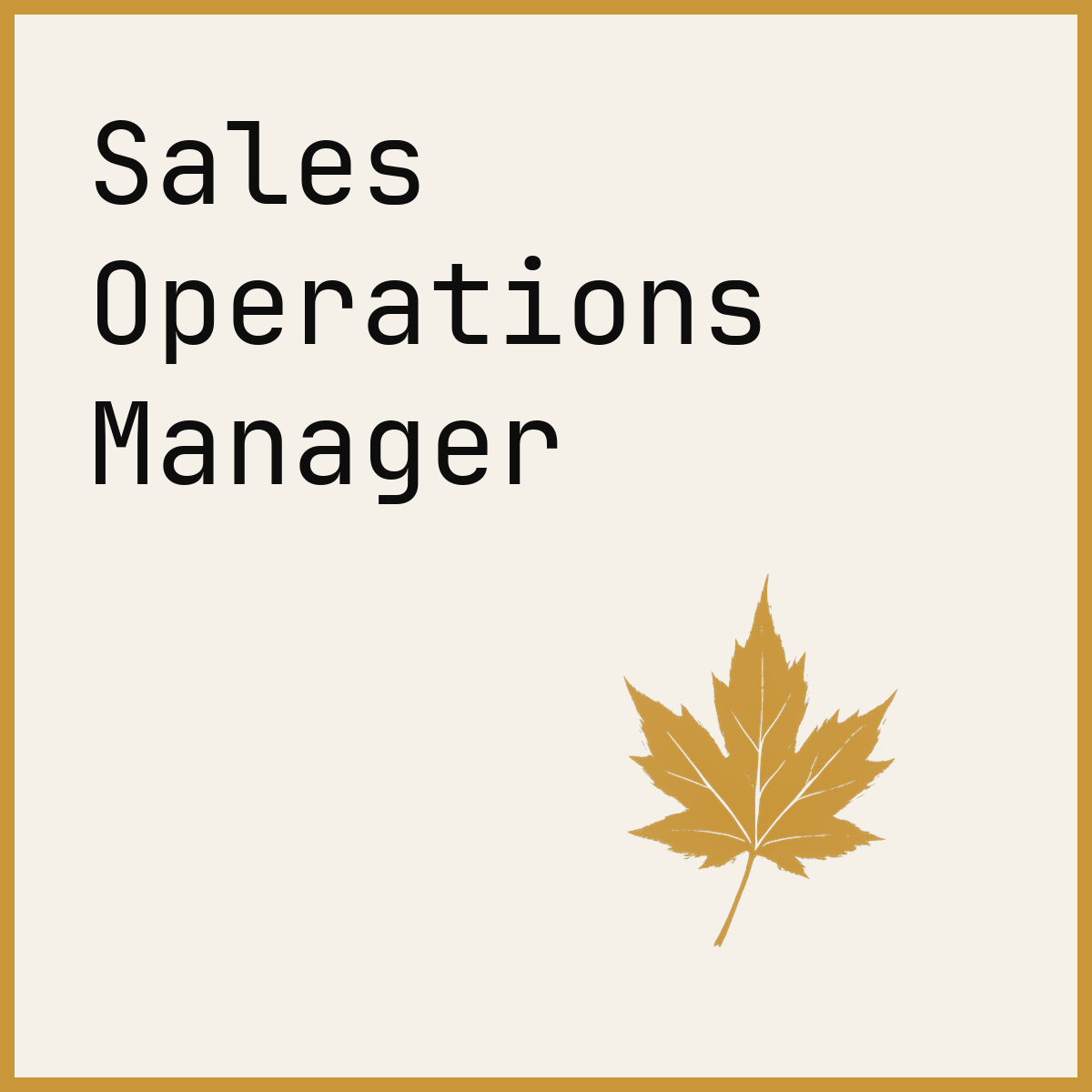 Sales Operations Manager