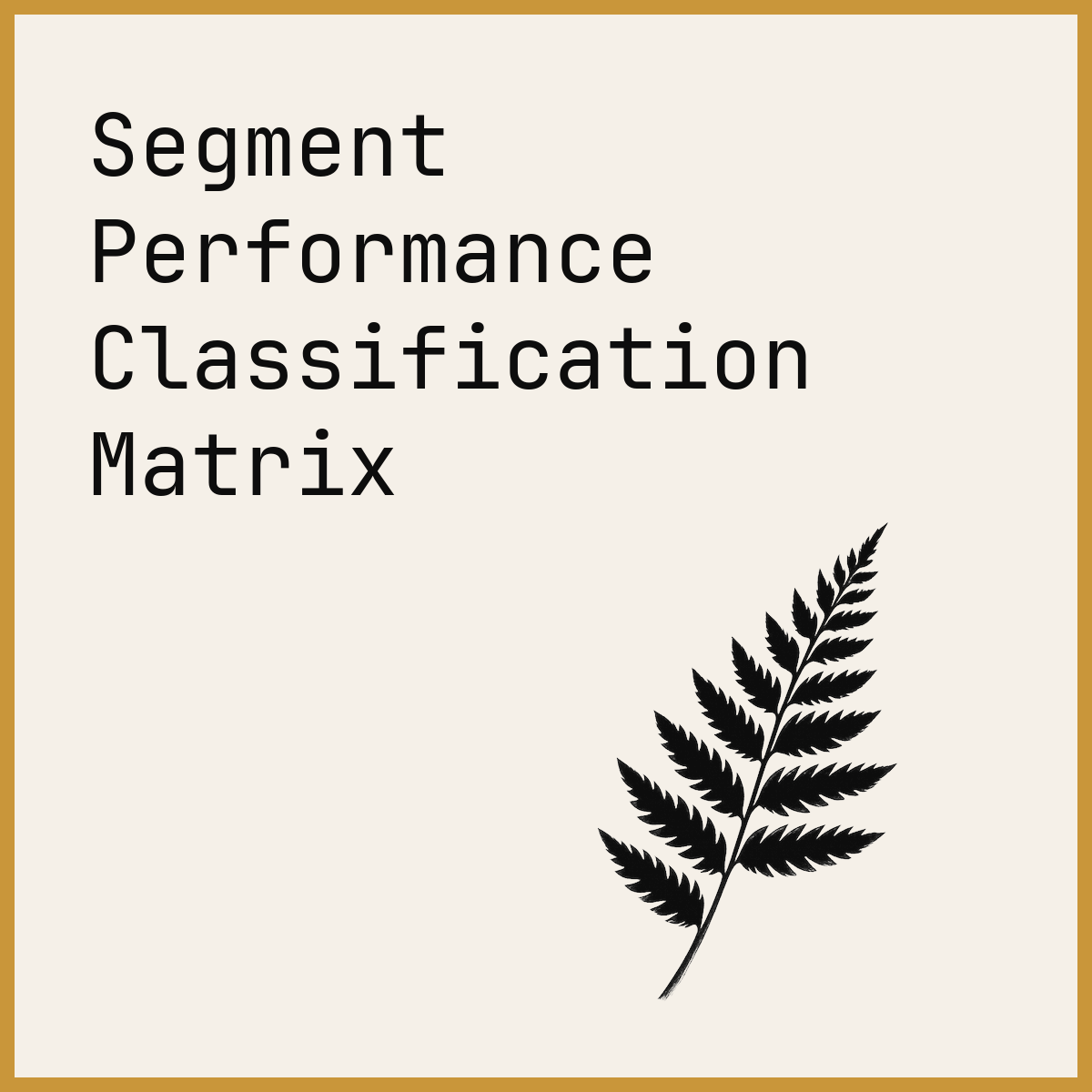 Segment Performance Classification Matrix