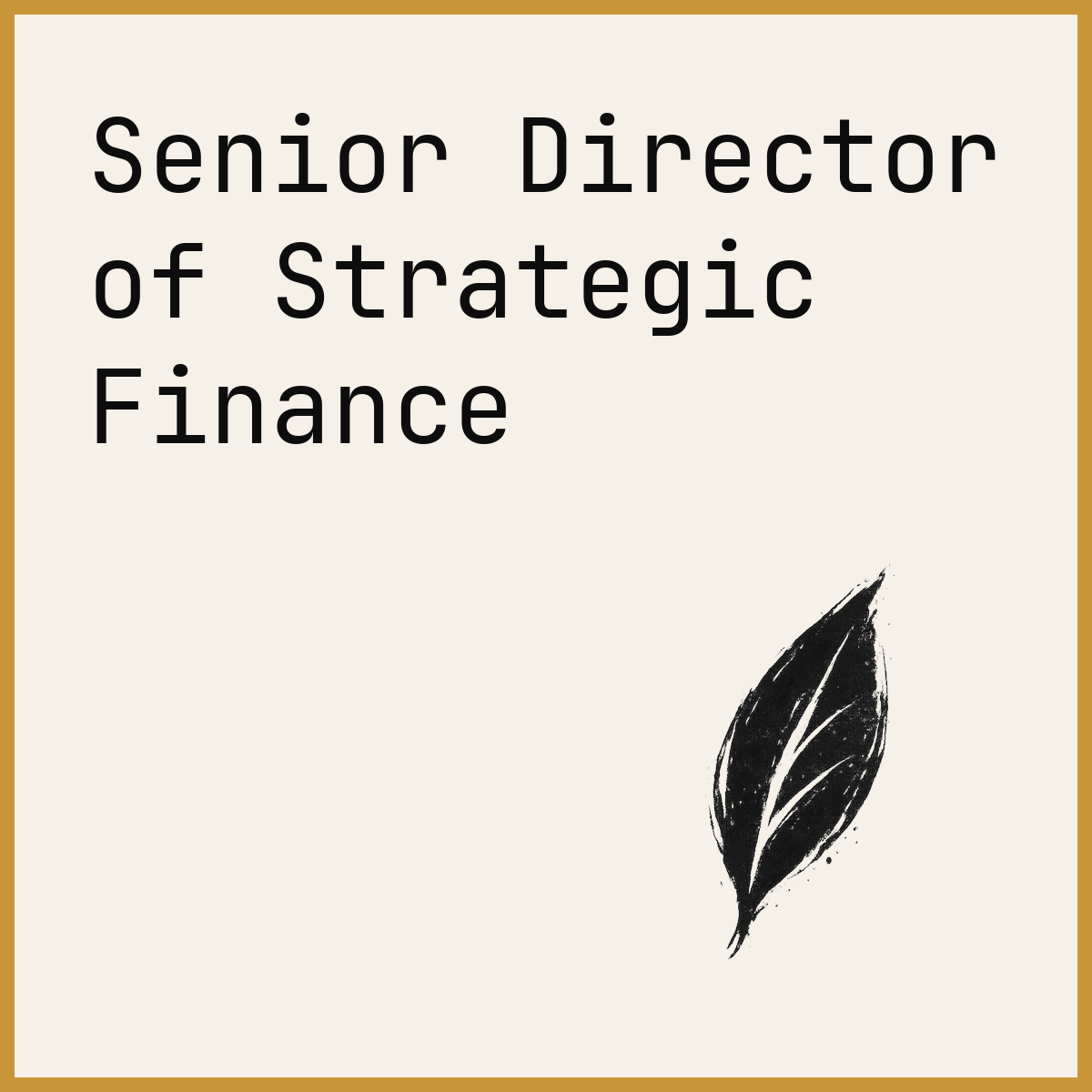 Senior Director of Strategic Finance