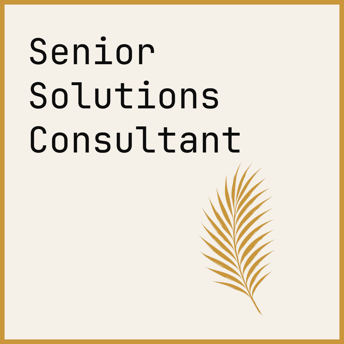 Senior Solutions Consultant