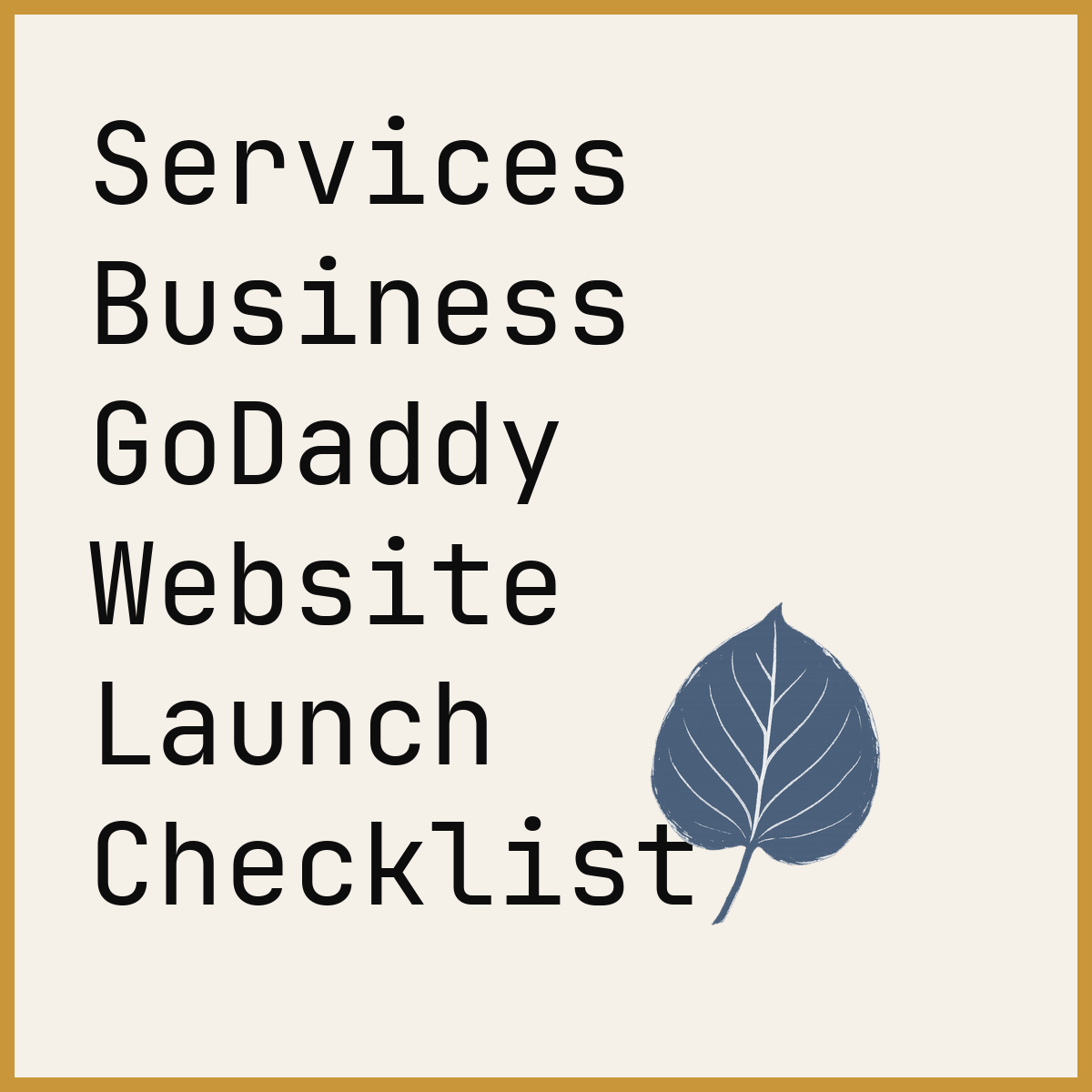 Services Business GoDaddy Website Launch Checklist