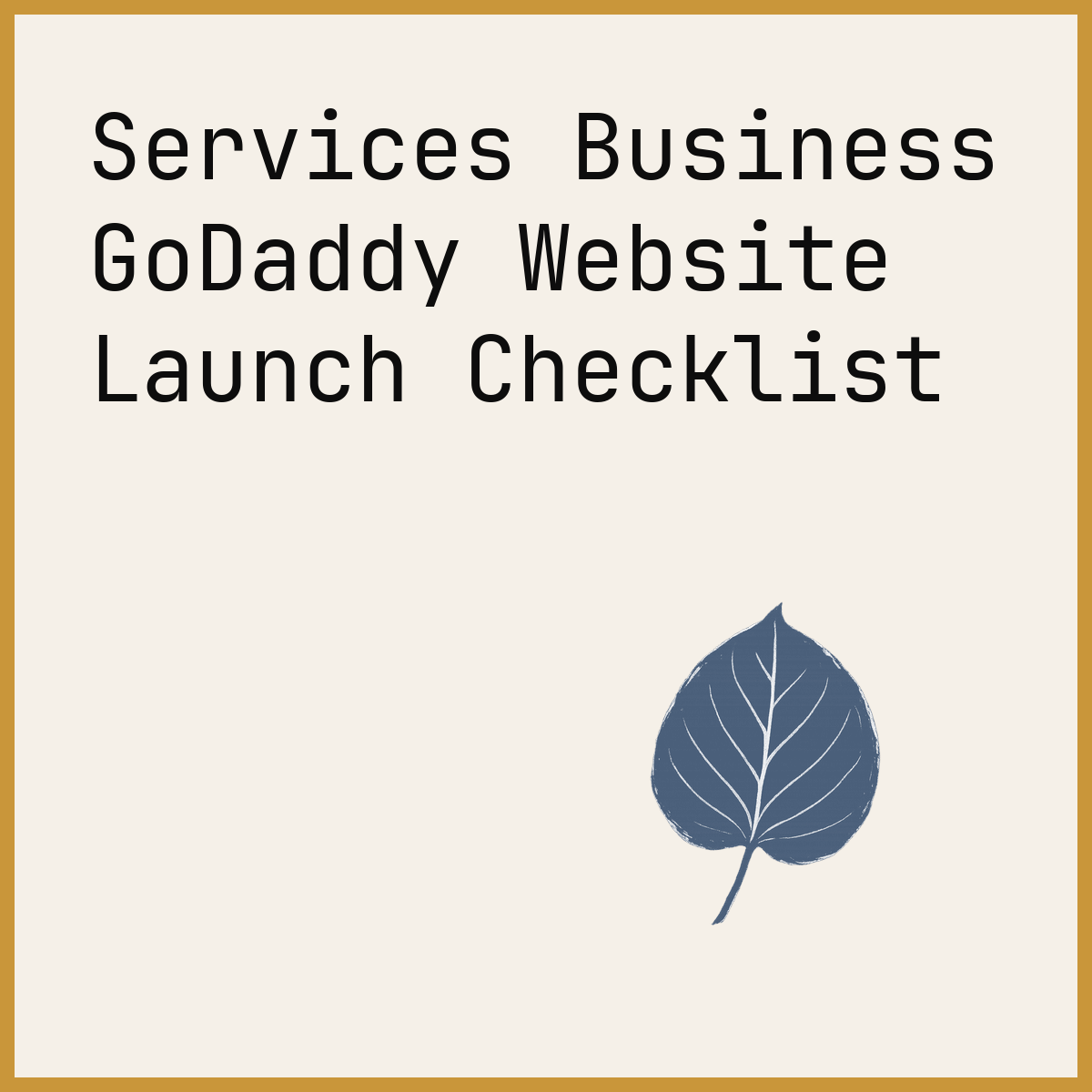 Services Business GoDaddy Website Launch Checklist