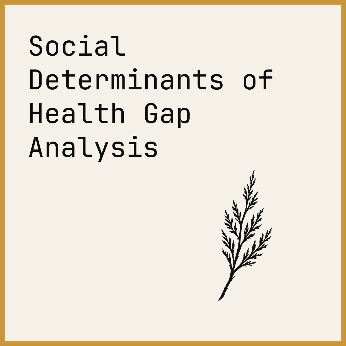 Social Determinants of Health Gap Analysis