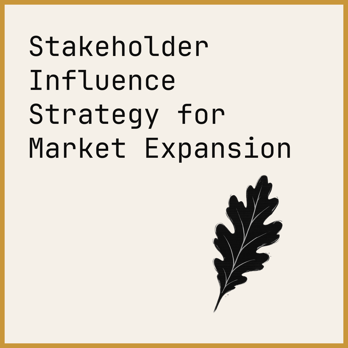 Stakeholder Influence Strategy for Market Expansion