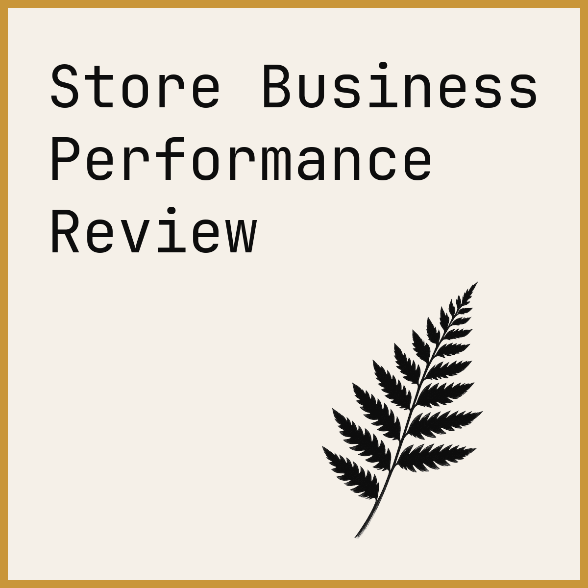 Store Business Performance Review