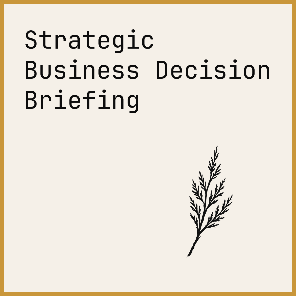 Strategic Business Decision Briefing