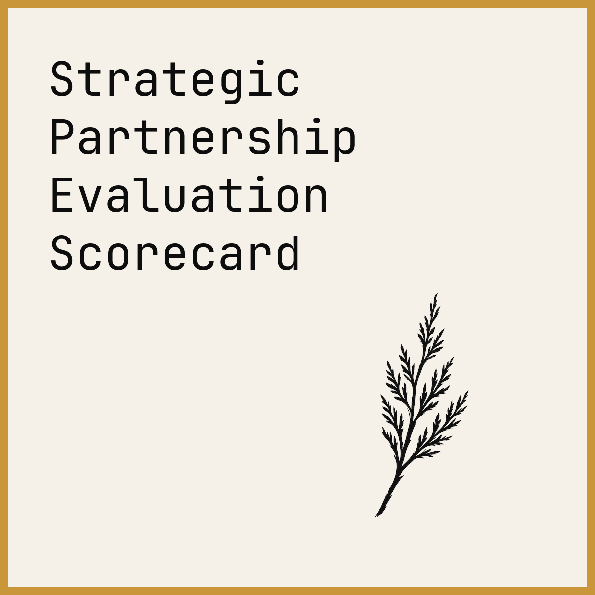 Strategic Partnership Evaluation Scorecard