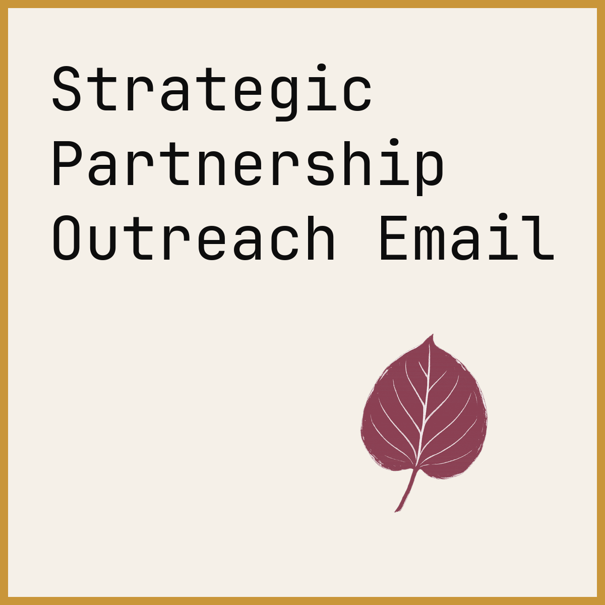 Strategic Partnership Outreach Email