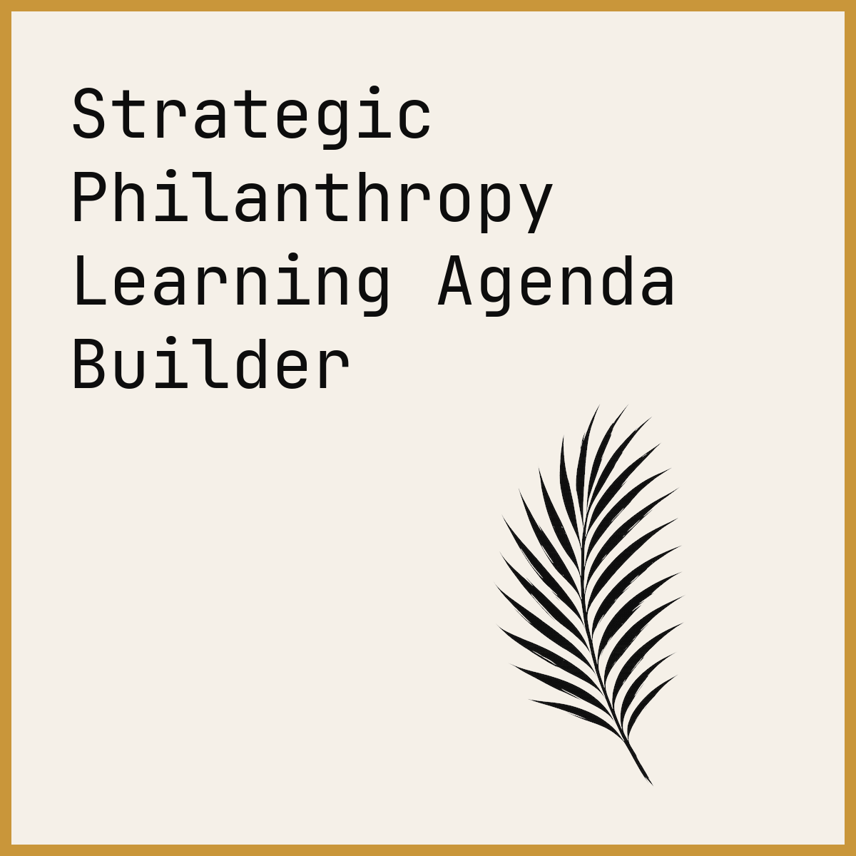 Strategic Philanthropy Learning Agenda Builder