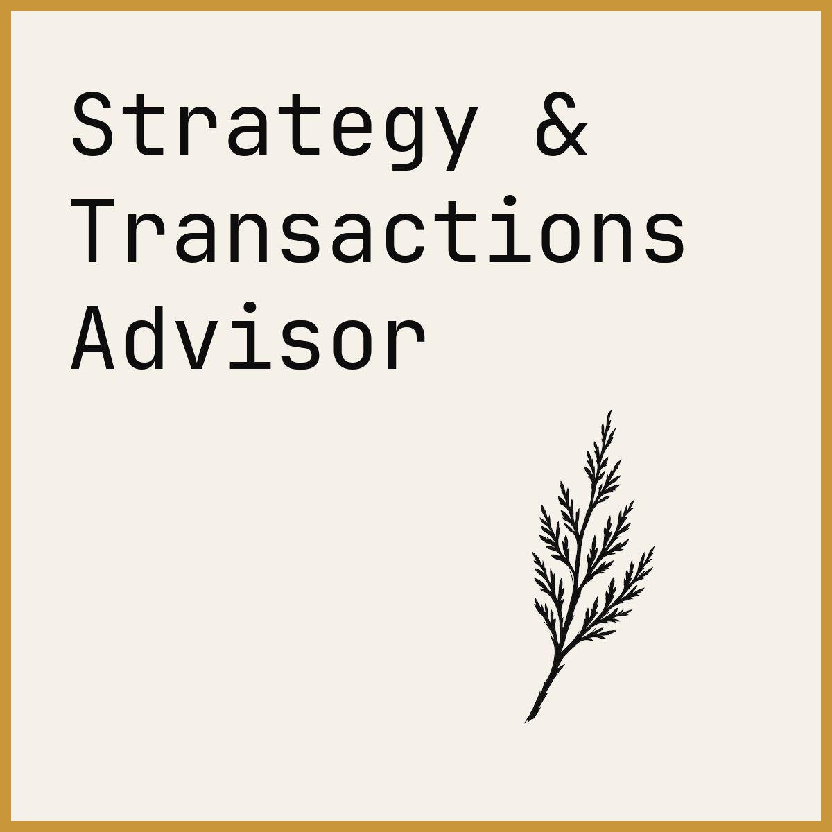 Strategy & Transactions Advisor