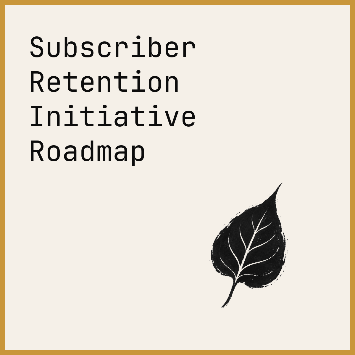 Subscriber Retention Initiative Roadmap
