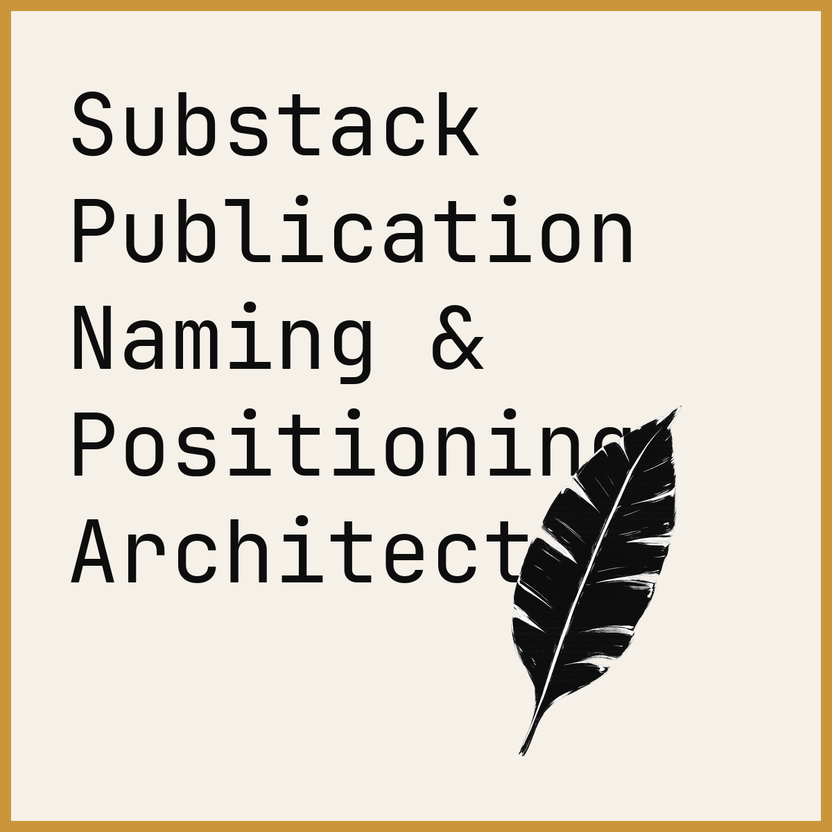 Substack Publication Naming & Positioning Architect