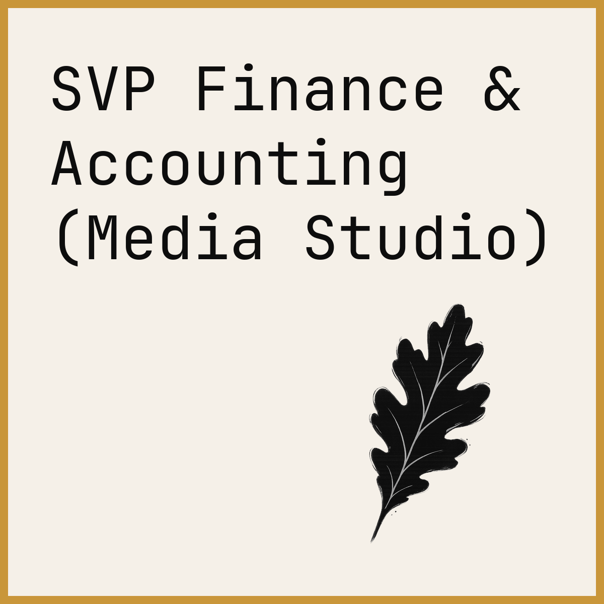 SVP Finance & Accounting (Media Studio)