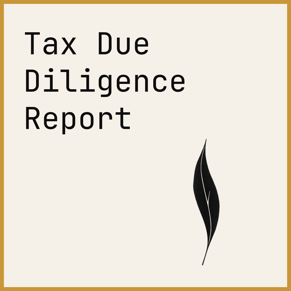 Tax Due Diligence Report