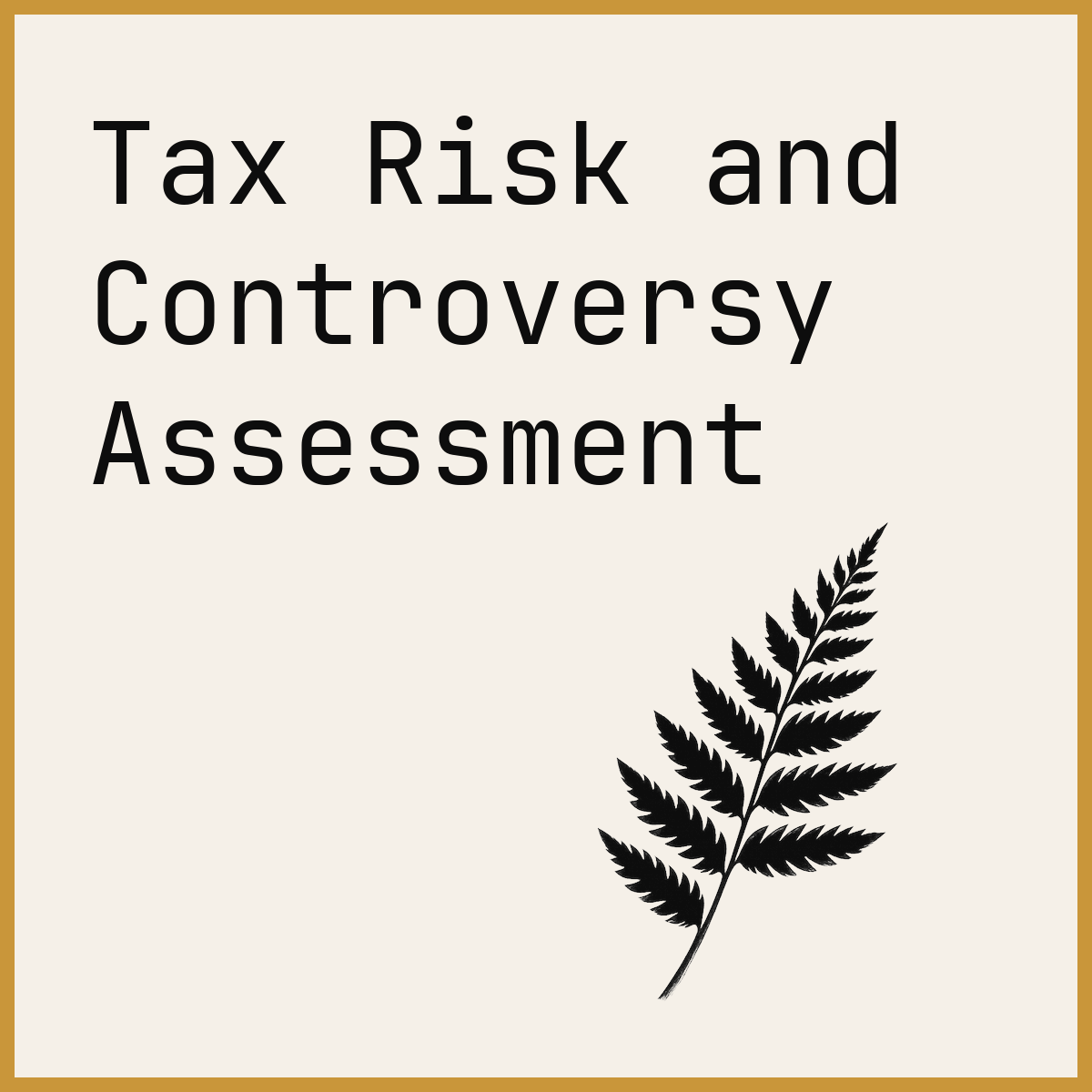 Tax Risk and Controversy Assessment