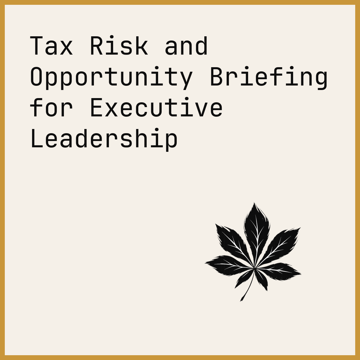 Tax Risk and Opportunity Briefing for Executive Leadership