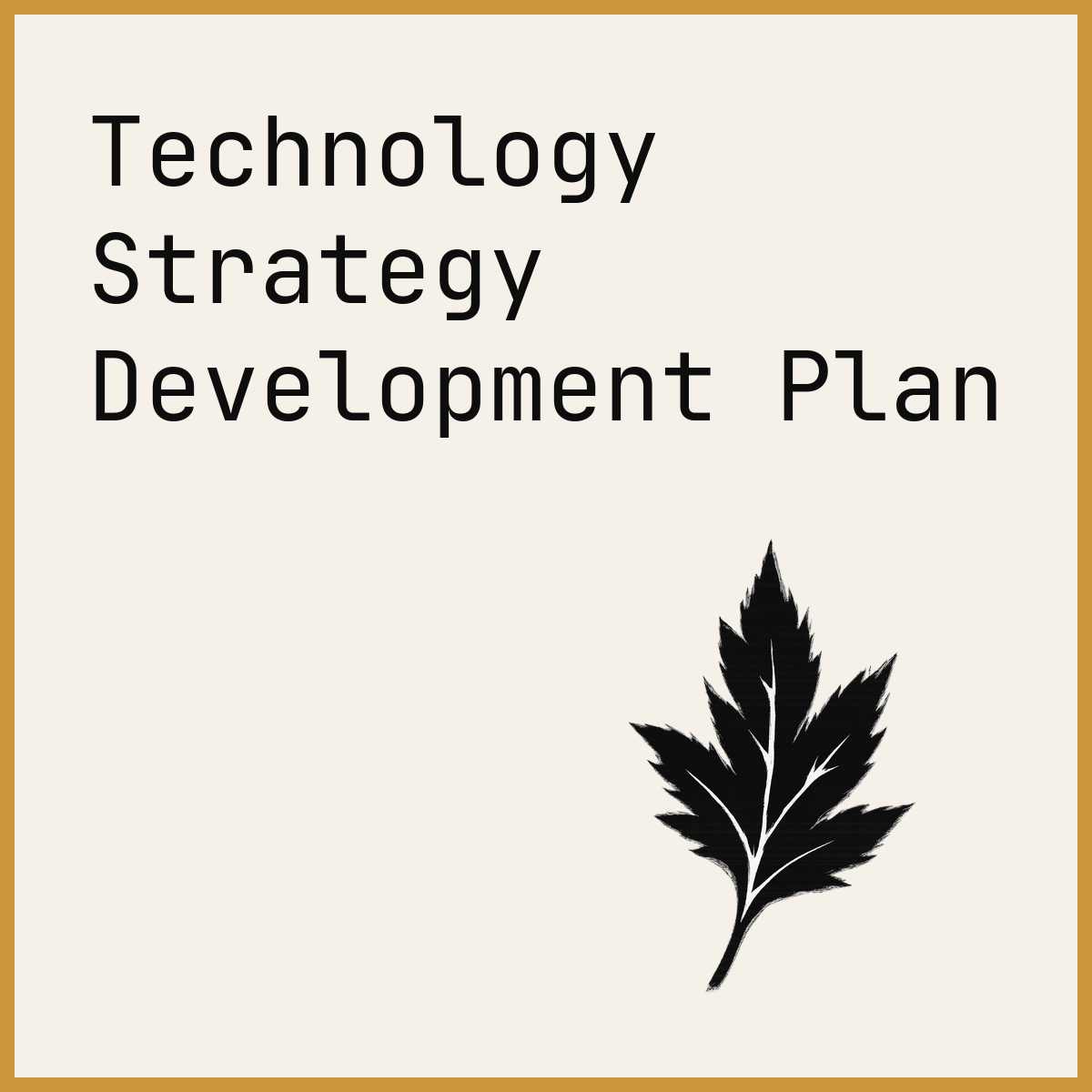 Technology Strategy Development Plan