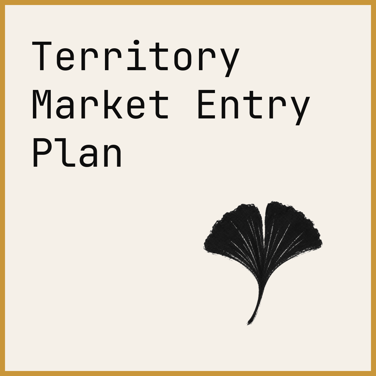 Territory Market Entry Plan